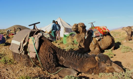 Camp on the Tatarart pastures, High Atlas mountains, Morocco